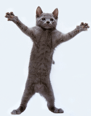 Funny GIF